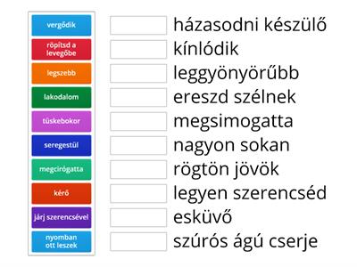 A tulipánná változott királyfi-rokon értelmű kifejezések