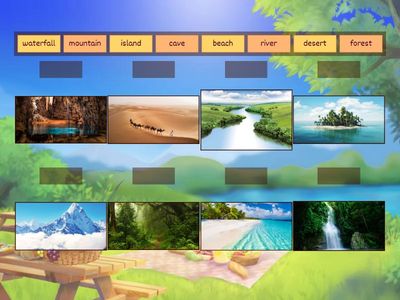 Task 3: Match the words with the pictures.