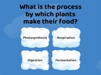 6th Grade Science Quiz