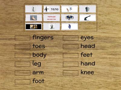 SM_1. Unit 8. Vocabulary: body parts