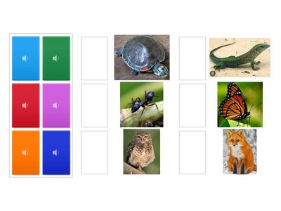 Inglês 5 - Nature around us