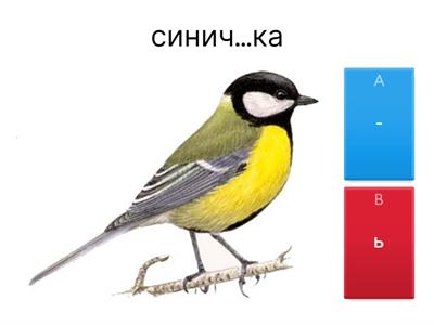 Правописание сочетаний ЧК, ЧН, НЧ, НЩ, ЩН, РЩ, ЧТ