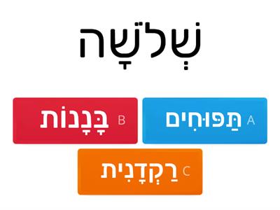 שם המספר