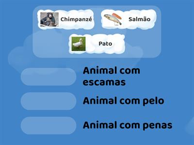 Os animais - revestimento do corpo