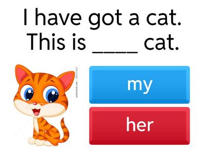  possessive adjectives