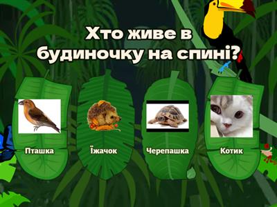 Вікторина, для дошкільнят