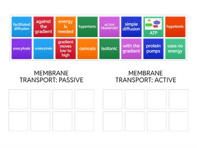 MEMBRANE TRANSPORT Drag and Drop