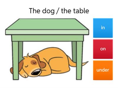 in/on/under/ next to 