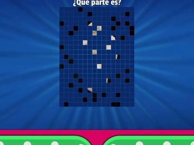 Las Partes del Cuerpo con maestra Rosario