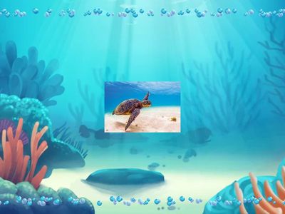 Підводний світ