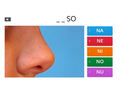 Quiz - completa la parola con la sillaba - NA NE NI NO NU