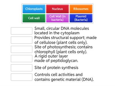 Cell Structure: Structure to Function