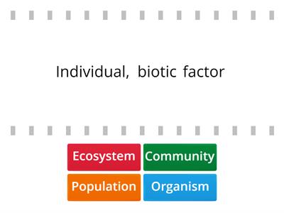 Levels of Ecosystems