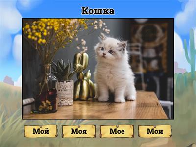 Личные местоимения