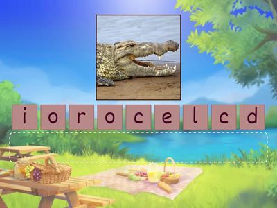 66 Animals of India Spotlight 5 M 5