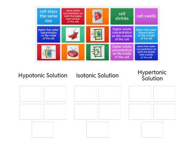 Hypotonic, isotonic, hypertonic solutions