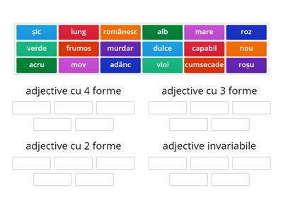 Adjective variabile și invariabile