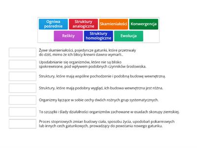 Połącz w pary pojęcia i ich znaczenie: Ewolucja  😉