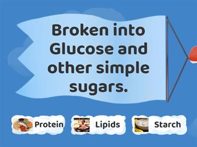 9SCI-Digestion Process