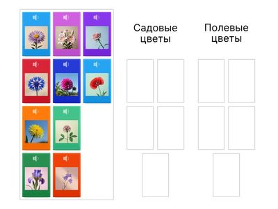 Сортируем цветы