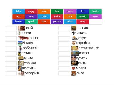 А11 Коврижных Максим