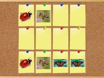  BUGS - memory game