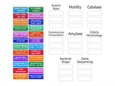 Biomedical Technologies Unknown Bacteria 