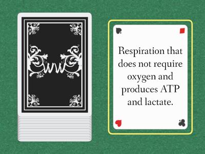 Cellular Respiration (N5)