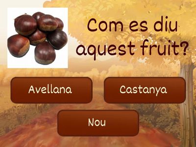 FRUITS DE LA TARDOR