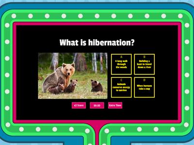 Hibernation EXIT TICKET