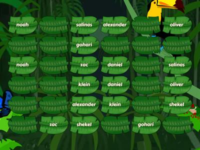 names and last names