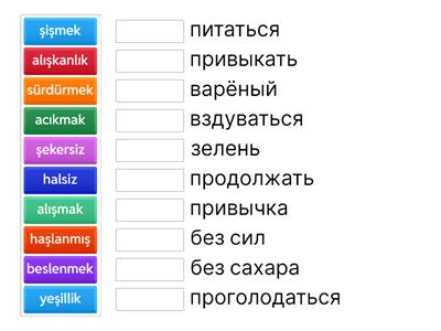 Turkish-Russian Vocabulary Match