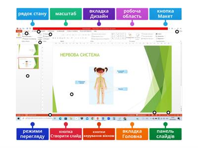 Вікно програми Power Point