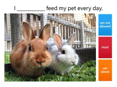 prohibition and permission