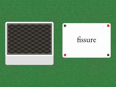 Ch. 3 Integumentary System