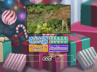 009_What do animals eat?