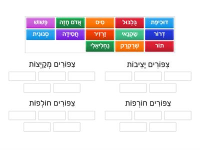 הַמִקְרָאָה שֶׁלִי ג1 - הַמַסָע הַגָדוֹל