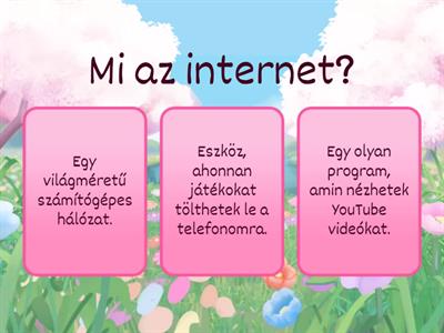 Internet