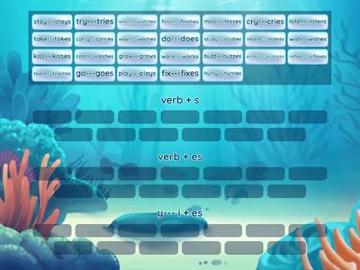 add s or es in verb when subject is He, She, It and singular verb