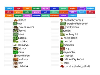 HERBS AND SPICES - B2
