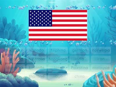 tebak bendera negara