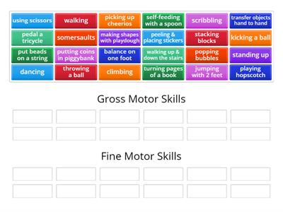 Gross vs. Fine Motor Skills