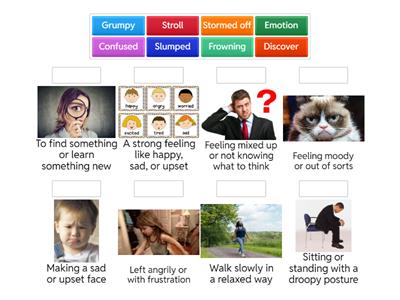 Grumpy Monkey Vocabulary Match up