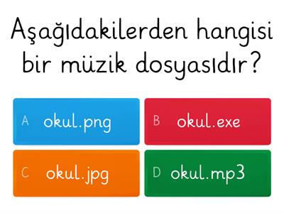 Bilişim Teknolojileri Dersi 2. Dönem 2. Yazılıya Hazırlık Testi