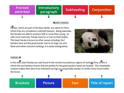 Non-chronological Report Features