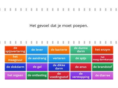 Staal Spijsvertering 1 (Groep 6)