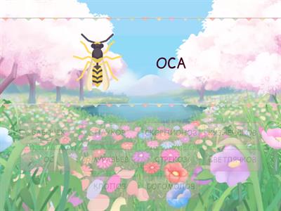 Насекомые. Один и много.