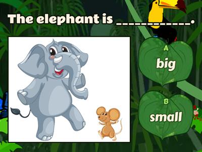 Adjectives (big, small, long, short)