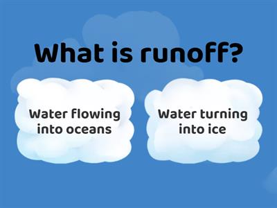 Water Cycle and Nitrogen Cycle Quiz