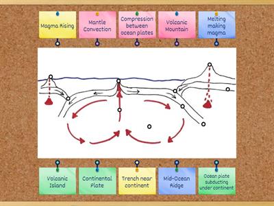 Plate Boundary System